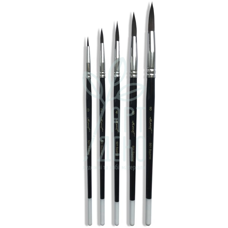 Набір пензлів Series 501, білка кругла (№0,2,4,6,8), к.р., 5 шт, Monet