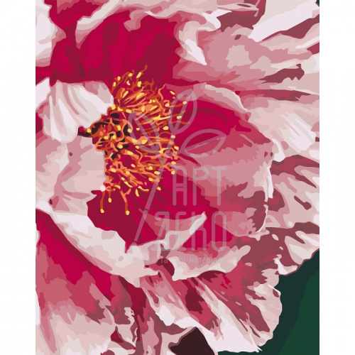 Набір для розпису за номерами "Півонія", 40х50 см, Ідейка