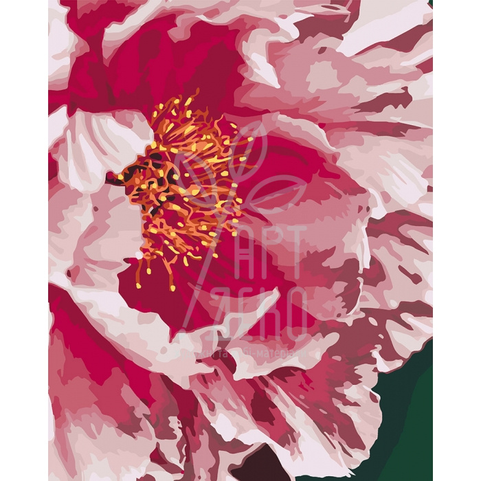 Набір для розпису за номерами "Півонія", 40х50 см, Ідейка