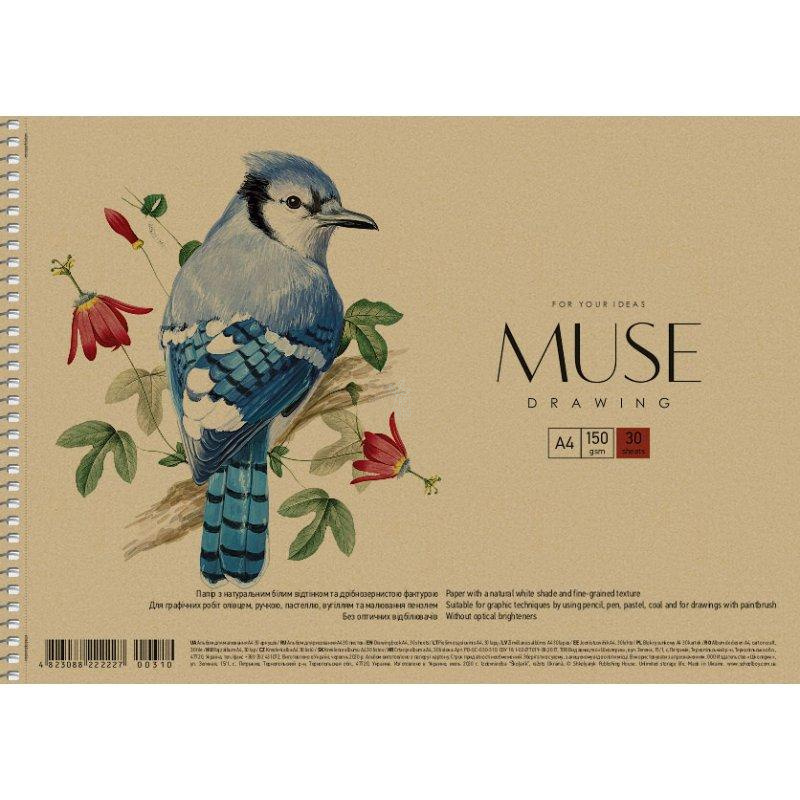 Альбом для малювання MUSE, спіраль, А4 (21х29,7 см), 30 л., Школярик