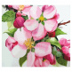 Набір для розпису за номерами "Яблуневий цвіт", 35х45 см, ROSA START
