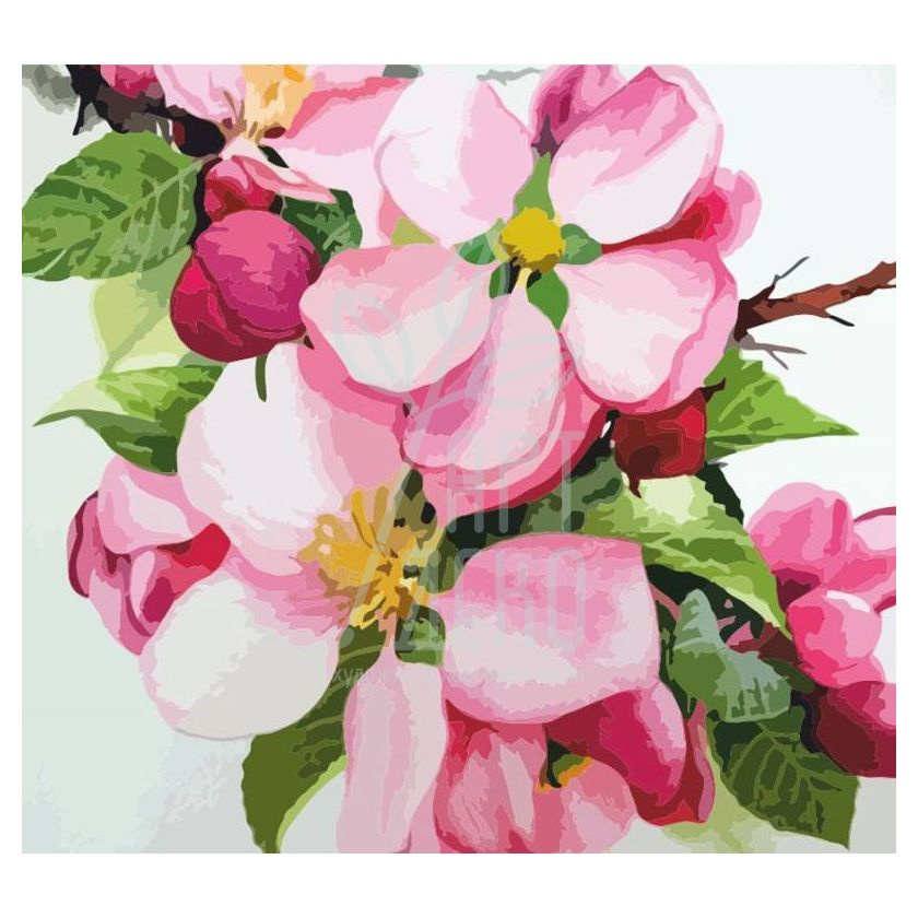 Набір для розпису за номерами "Яблуневий цвіт", 35х45 см, ROSA START