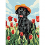 Набір для розпису за номерами "Чарівний лабрадор", 30х40 см, Ідейка