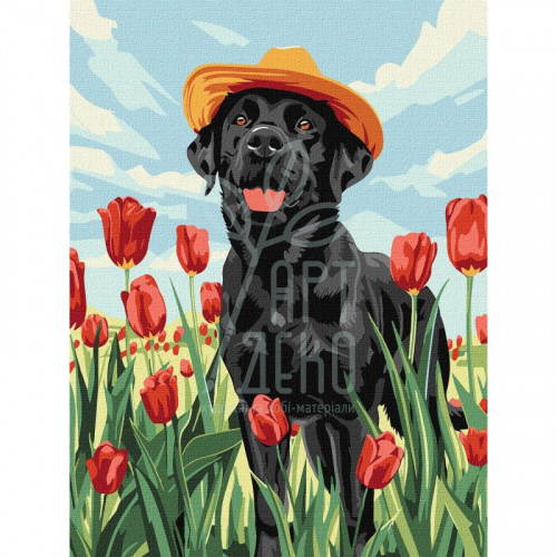 Набір для розпису за номерами "Чарівний лабрадор", 30х40 см, Ідейка