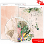 Папір дизайнерський двосторонній, матовий "King Protea" 5, А4 (21х29,7 см), 200 г/м2, ROSA Talent