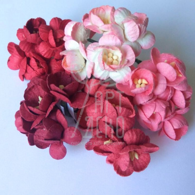 Квіти паперові Цвіт вишні, біло-червоні тони, 2,5 см, 5 шт., Тайланд