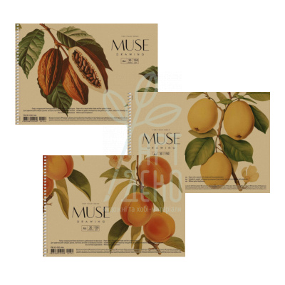 Альбом для малювання MUSE, спіраль, А4 (21х29,7 см), 150 г/м2, 30 л, Школярик