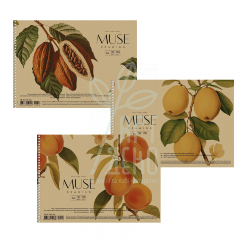 Альбом для малювання MUSE, спіраль, А4 (21х29,7 см), 150 г/м2, 30 л, Школярик