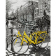 Набір для розпису за номерами "Прогулянка на велосипеді", 40х50 см, Santi