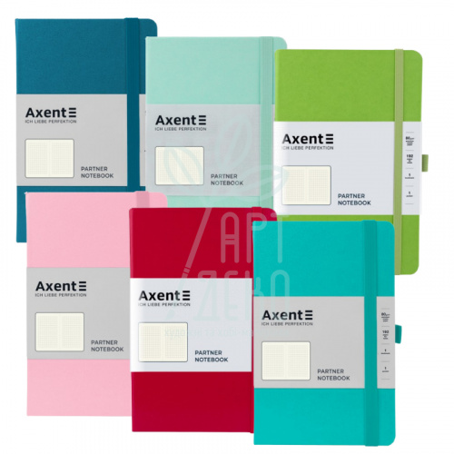 Книга записна Partner, клітинка, 125х195 мм, 96 л., Axent
