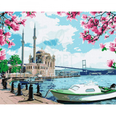 Набір для розпису за номерами "Яскравий Стамбул", 40х50 см, Ідейка