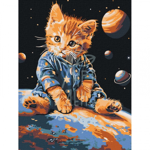Набір для розпису за номерами "Зоряний котик", 30х40 см, Ідейка