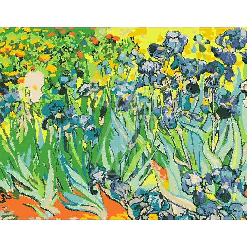 Набір для розпису за номерами "Іриси", 35х45 см, ROSA START