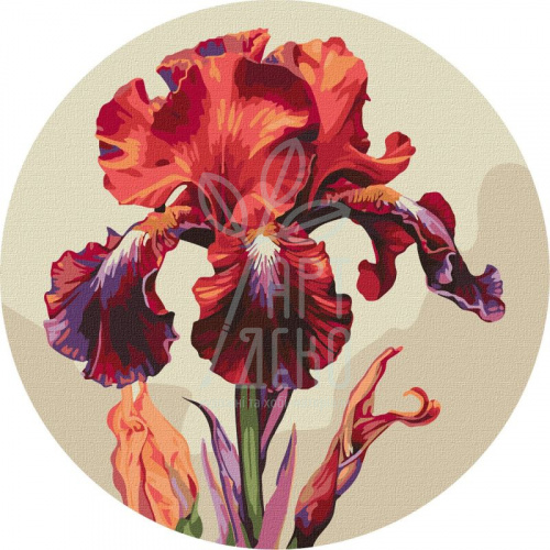 Набір для розпису за номерами "Чарівний ірис", d33 см, Ідейка