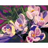 Набір для розпису за номерами "Квіти 2.123", 35х45 см, ROSA START