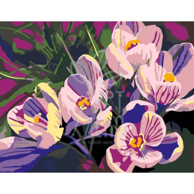 Набір-стандарт "Квіти 2.123", акриловий живопис за номерами, 35х45 см, ROSA START