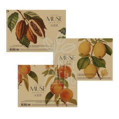 Альбом для малювання MUSE, спіраль, А4 (21х29,7 см), 150 г/м2, 30 л, Школярик