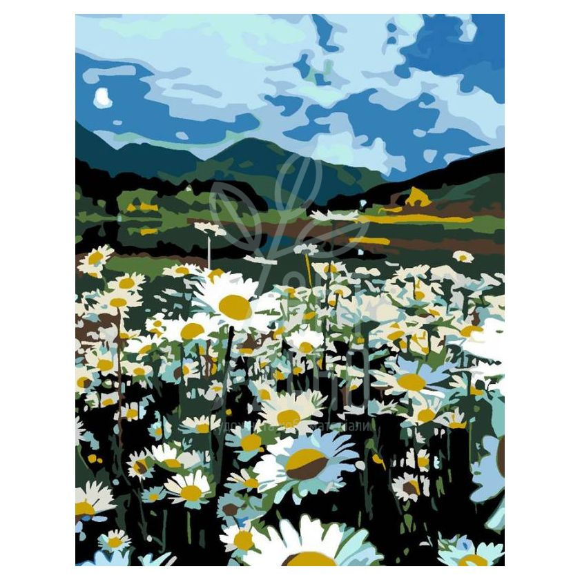 Набір для розпису за номерами "Ромашкове поле", 35х45 см, ROSA START