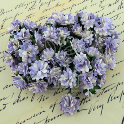 Квіти паперові Ромашка айстрова, фіолетово-біла, 1,5 см, 10 шт., Тайланд