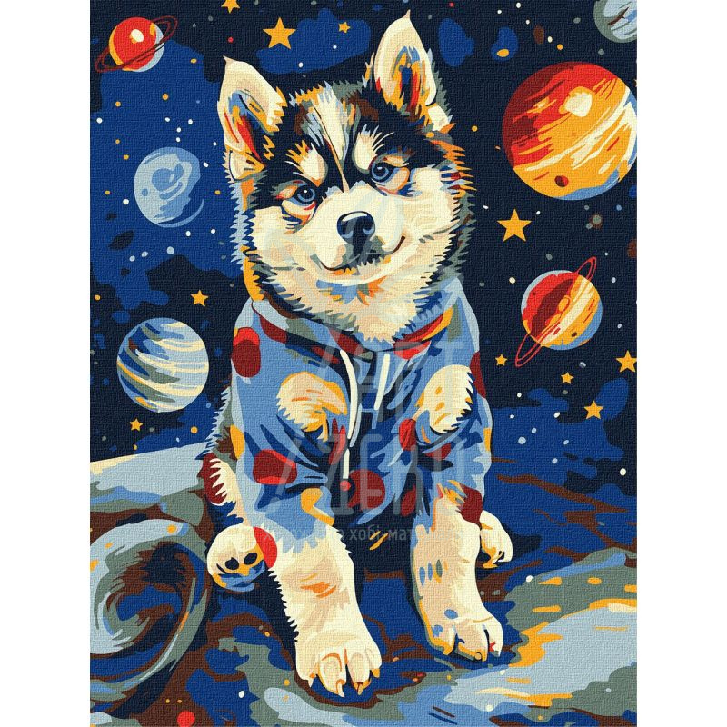 Набір для розпису за номерами "Космічний хаскі", 30х40 см, Ідейка