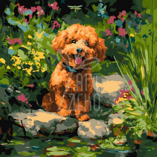 Набір для розпису за номерами "Пудель на ставку", 40х40 см, Ідейка