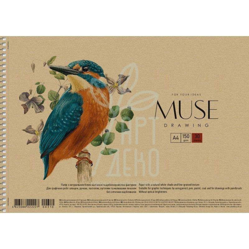 Альбом для малювання MUSE, спіраль, А4 (21х29,7 см), 30 л., Школярик
