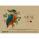 Альбом для малювання MUSE, спіраль, А4 (21х29,7 см), 30 л., Школярик