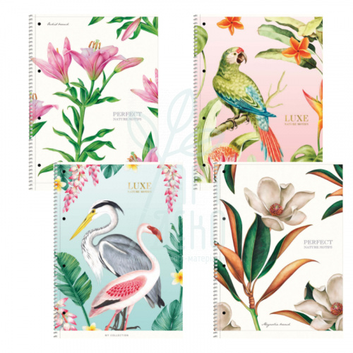 Коледж-блок Student, спiраль, А4, матова ламінація, кремовий блок, лінійка, 80 л., Школярик