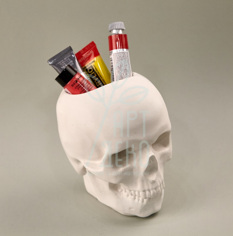 Гіпсова фігура "Череп", з отвором, Україна