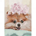 Набір для розпису за номерами "Улюблениця", 30х40 см, Ідейка