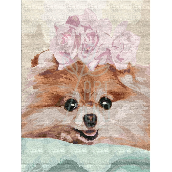 Набір для розпису за номерами "Улюблениця", 30х40 см, Ідейка