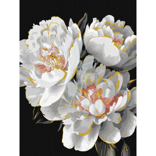 Набір для розпису за номерами "Білосніжні бутони", металік, 30х40 см, Ідейка