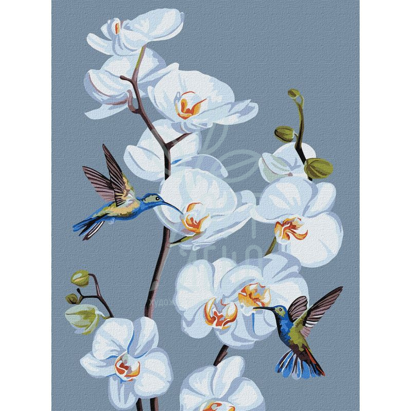 Набір для розпису за номерами "Квітучі орхідеї", 30х40 см, Ідейка