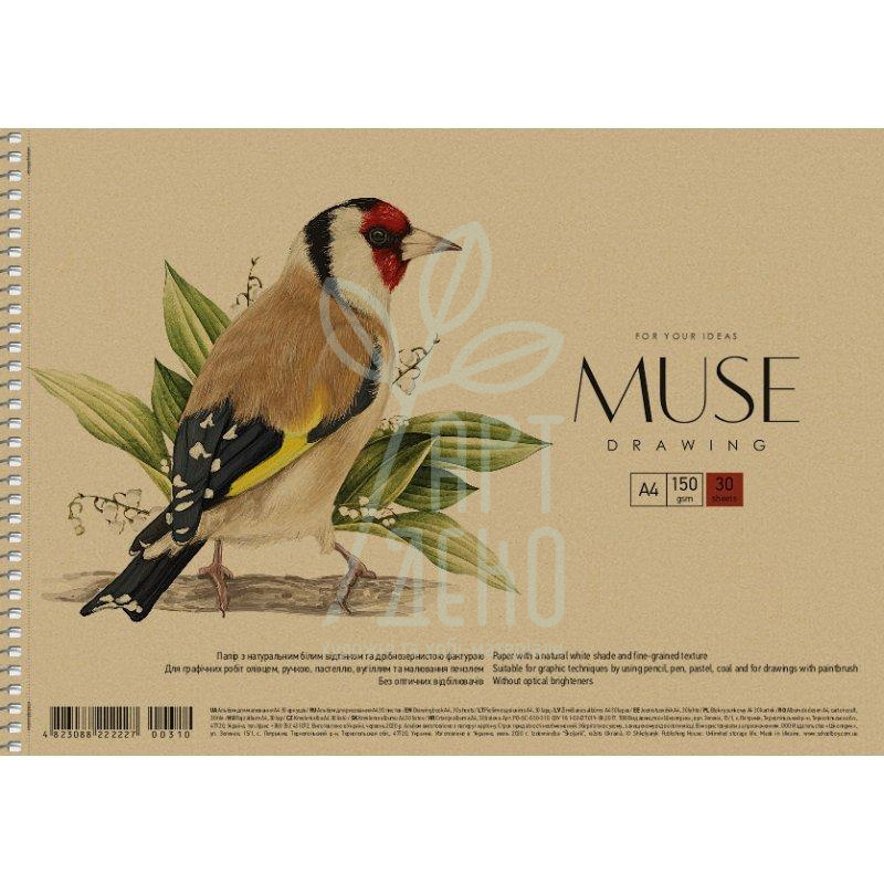 Альбом для малювання MUSE, спіраль, А4 (21х29,7 см), 30 л., Школярик