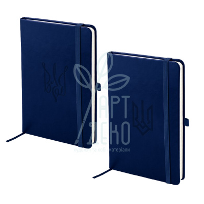Книга записна Partner Lux, синя, клітинка,12,5х19,5 см, 96 л., Axent