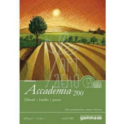 Склейка для малювання Gamma Accademia 200, 200 г/м2, 10 л., Польща