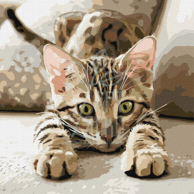 Набір для розпису за номерами "Грайливе кошеня", 40х40 см, Ідейка