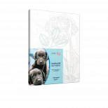 Набір для розпису за номерами "Маленькі друзі", ROSA START