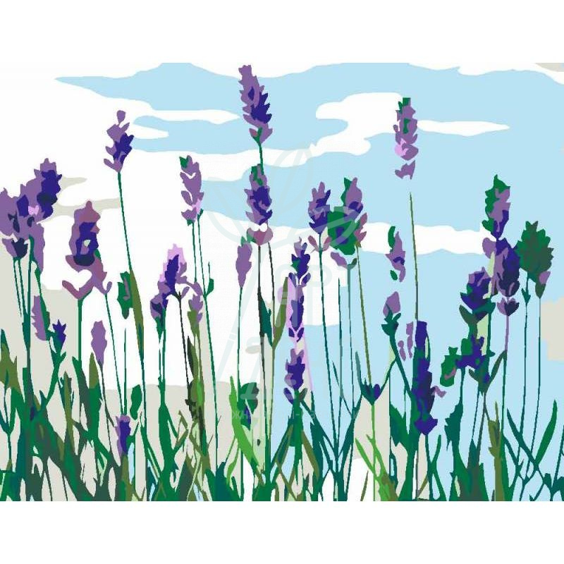 Набір для розпису за номерами "Квіти 2.17", 35х45 см, ROSA START